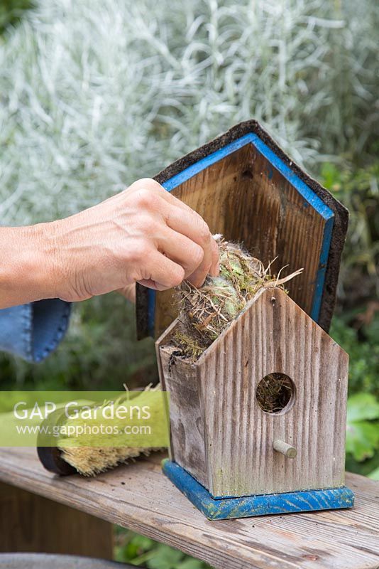 Remove nesting material inside the birdhouse. 