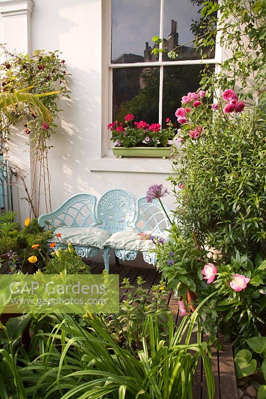 Decorative blue metal seat in colourful town garden with Geraniums in windowbox, Rosa 'Guinee', Papaver, Peonies Alliums and Centaurea
