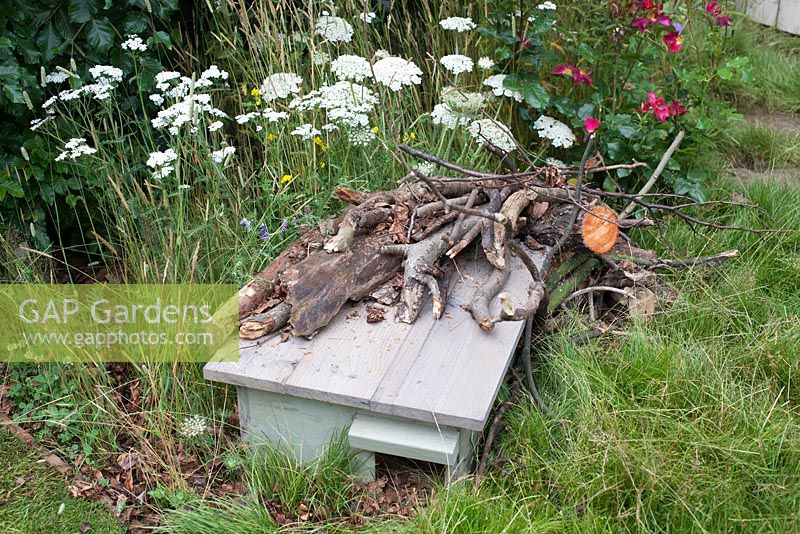 Hedgehog Street, wooden hedgehog house. The planting is dense and allows wildlife to hide and feel safe - Designer: Tracy Foster - Sponsors: People's Trust for endangered species PTES, British Hedgehog Preservation Society BHPS