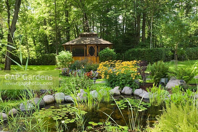 Pond with Nymphaea alba - white water lilies, Rudbeckia fulgida 'Goldsturm' - yellow coneflowers and a gazebo in the background in a backyard garden in summer, St-Colomban, Laurentians, Quebec, Canada