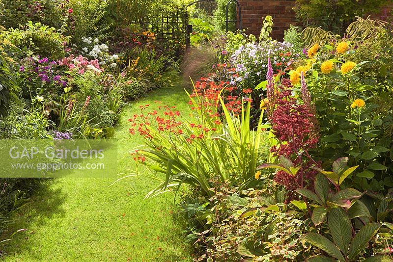 The Bog Garden on the right - plants include Rodgersias, Crocosmia, Ligularia, Heliopsis, Astilbe, with Houttuynia cordata. Lincolnshire. August 2014. Summer.