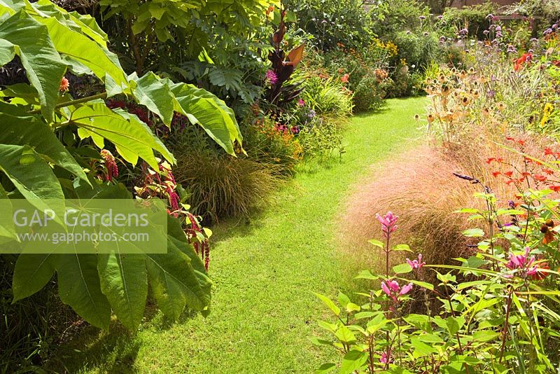 Into the Bottom Garden, on left is the Hot Border, with huge leaves of Tetrapanax papyrifer 'Rex'. To the right is the start of the Deck Garden, with raised beds. Lincolnshire. August 2014. Summer.