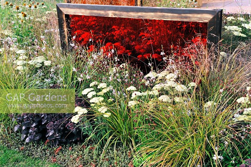Coloured translucent perspex screens in flower beds. Description: Prehistoric Modernism. Designer: Alex Schofield
