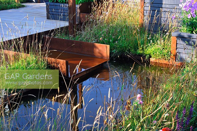 Morning low light on grasses around shallow pool with rusty metal channel Waterfall. Description: Maggie's Forest Garden. Designer: Amanda Waring and Laura Arison. 