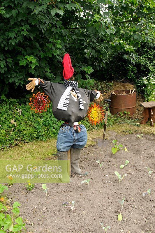 Garden Scarecrow in small vegetable bed