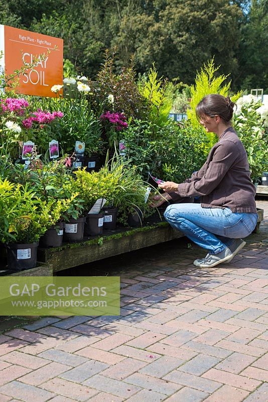 Female customer browsing Clay soil themed plants at a garden centre.