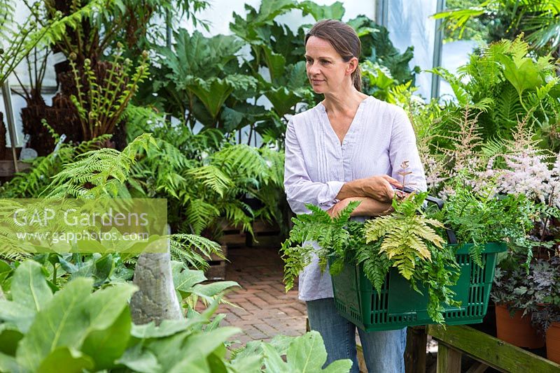 Woman browsing plants for sale in shady section of a garden centre