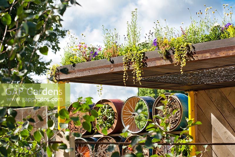 Green roof,  Space to Connect and Grow - RHS Hampton Court Flower Show 2014