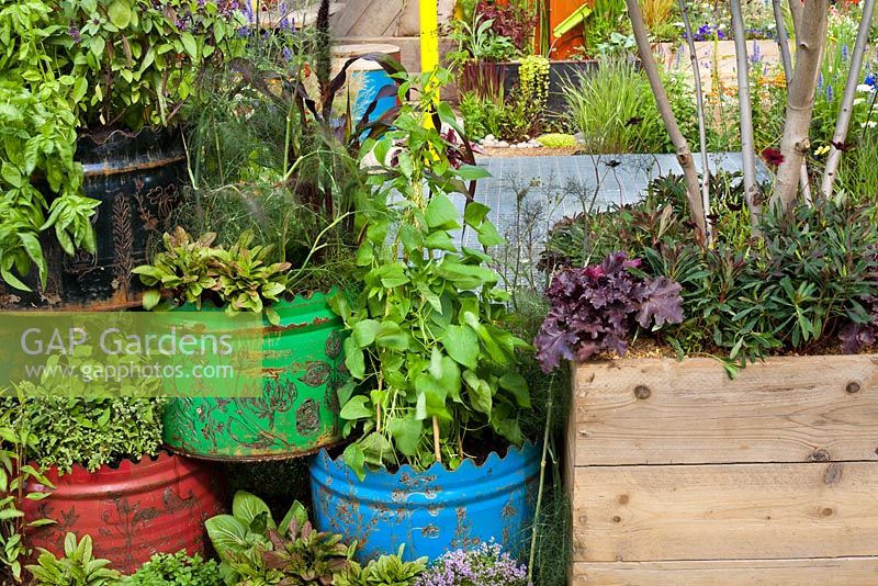 Colourful containers as a fence planted with vegetables. 