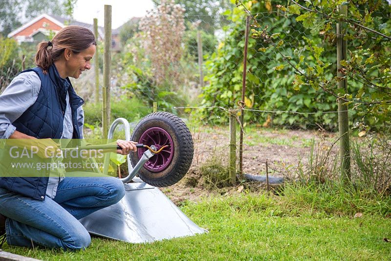 Woman inflating flat tyre on a wheelbarrow, within an allotment plot