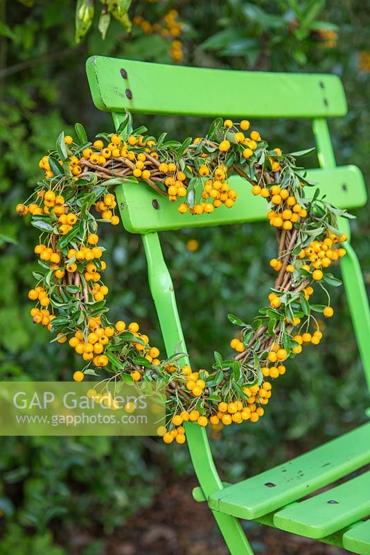 Finished Pyracantha wreath hanging on wooden chair.