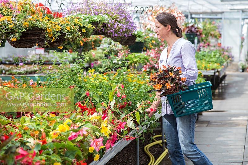 Woman browsing a selection of Begonias at a garden centre