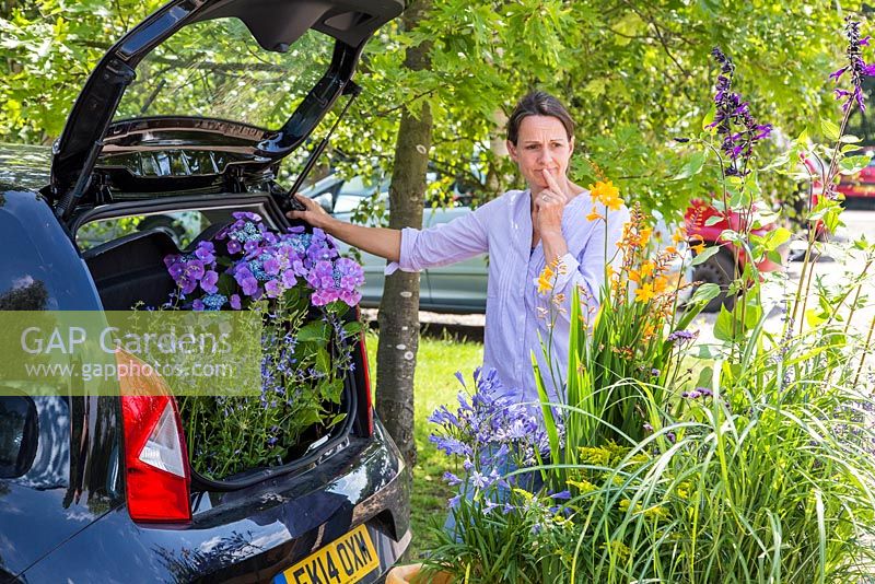 A car boot not large enough to carry purchased plants from a garden centre