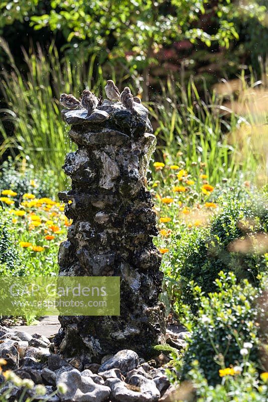 Sparrows bathing and drinking from a rustic flint fountain in the morning sunshine.
