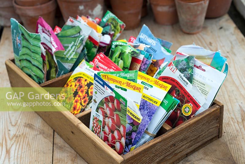 Potting bench springtime still life showing wooden box of seed packets