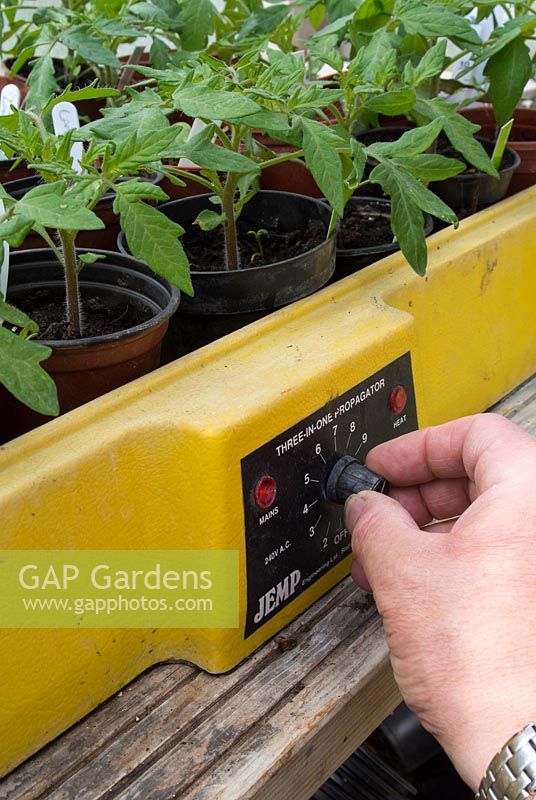 Gardener adjusting thermostat on an electric propagator