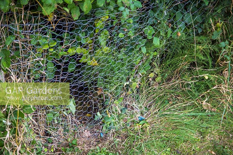 Fencing off a Rabbit hole - Fence repaired using chicken wire, twine and pegs