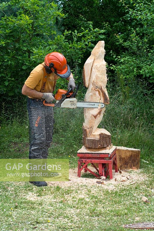 Chainsaw carving, Man carving hare form solid tree trunk