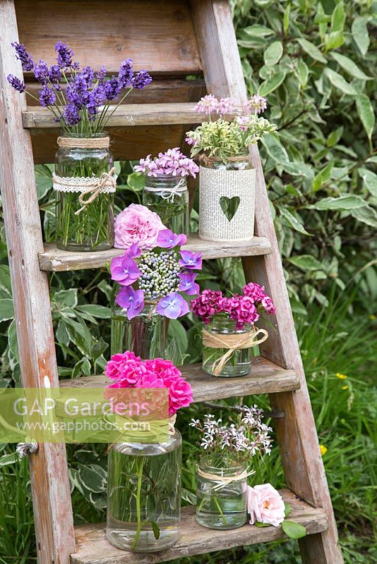 Floral display of Hydrangeas, Lavandula, Scented Pelargoniums, Dianthus barbatus and Roses on a wooden ladder
