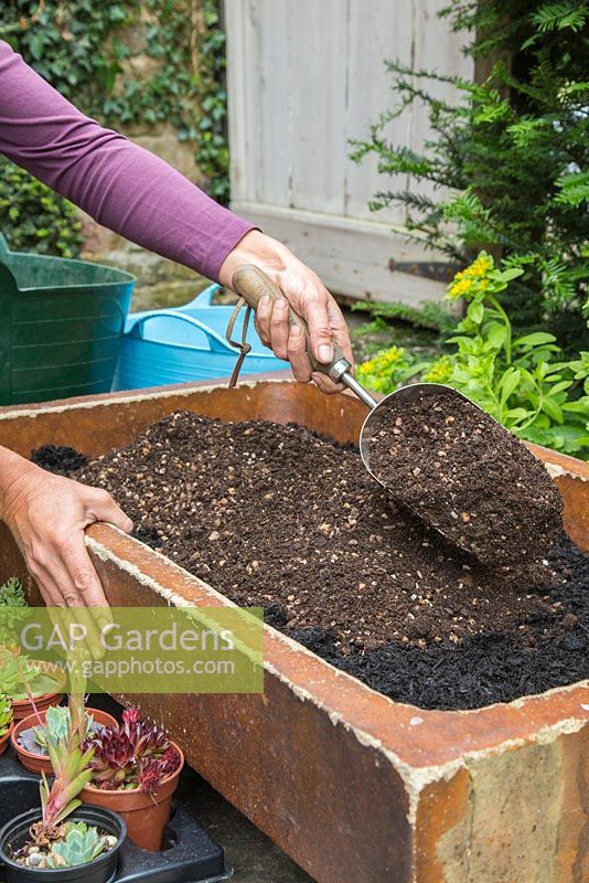 Adding layer of potting compost and gravel mix. 