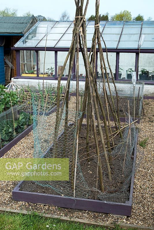 Small raised bed in springtime covered in wire netting and sticks to prevent cat fouling.