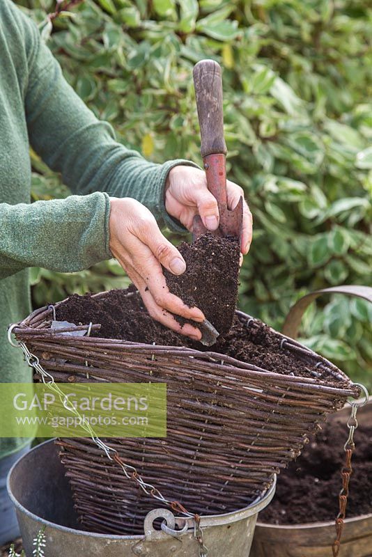Filling basket with compost