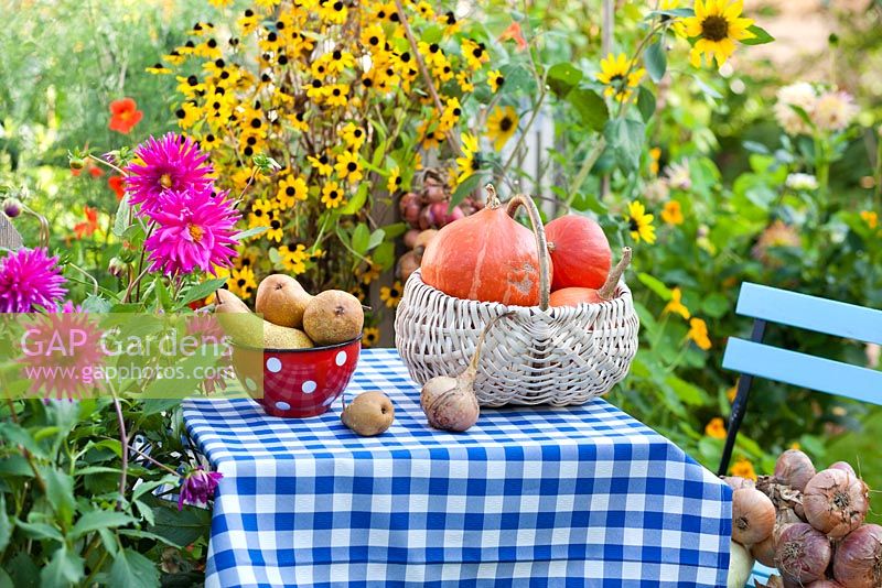 Harvested vegetables and fruits on the table with Pears 'Abate Fetel', onions and pumpkin 'Hokkaido'