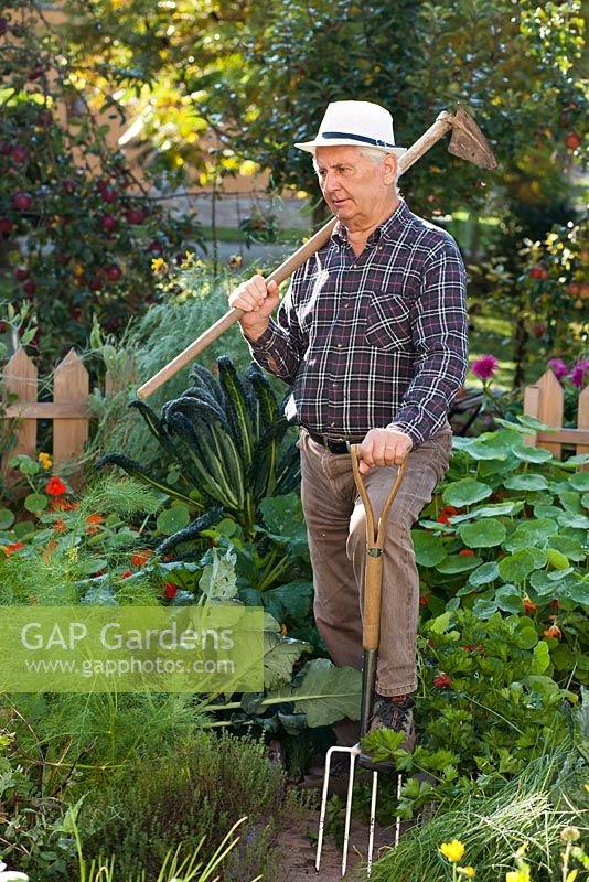 Man working in vegetable garden using fork and hoe.