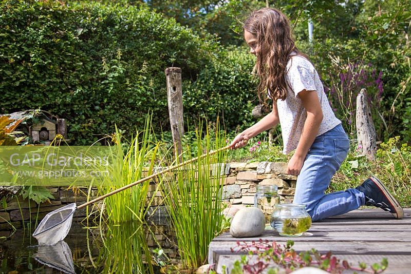Young girl pond dipping in her garden