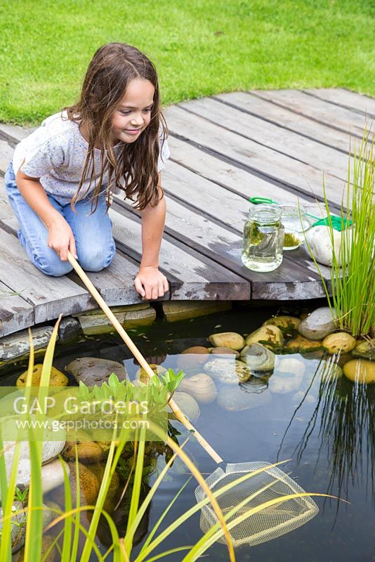 Young girl pond dipping in her garden