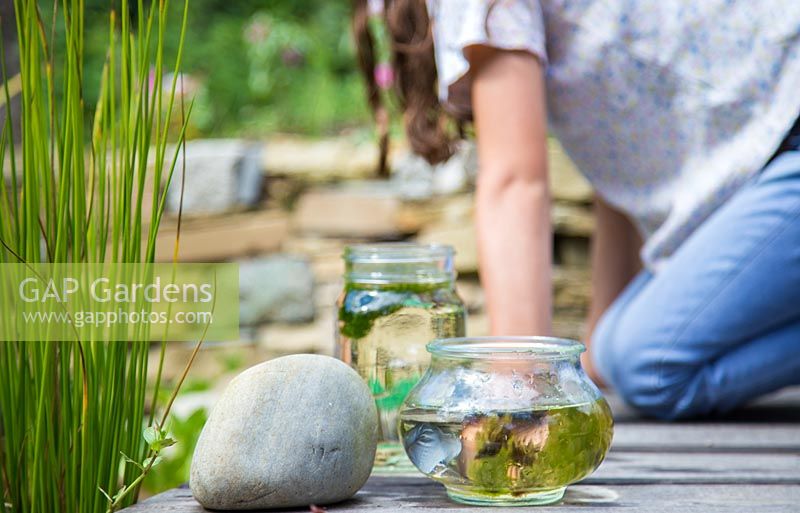 Young girl pond dipping in her garden.