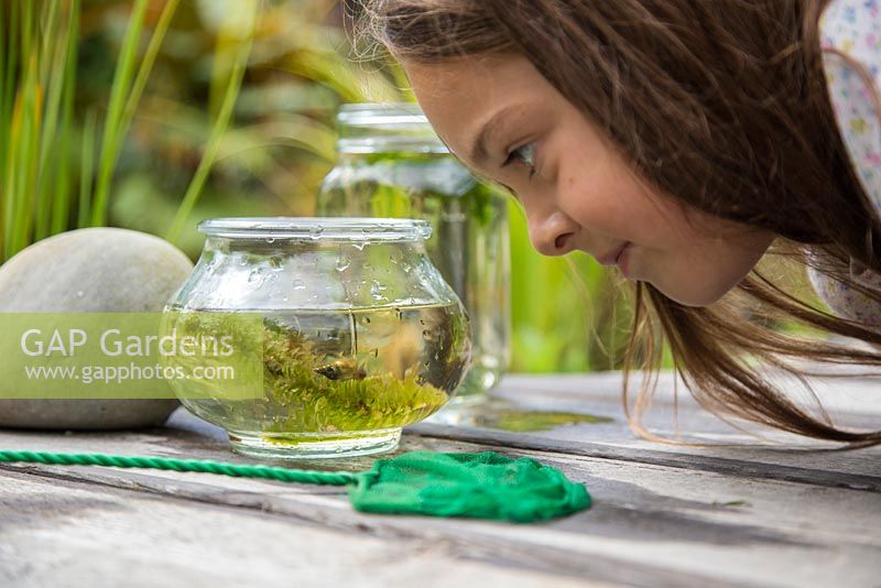 Young girl pond dipping in her garden. Looking at netted pond life