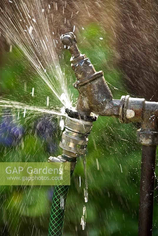 Garden tap with leaking hose fitting
