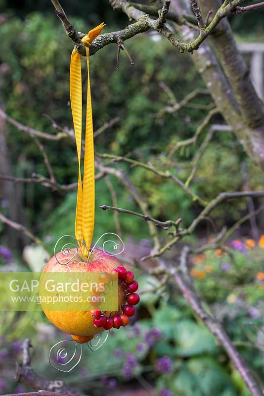 A decorative rose hip and apple bird feeder. Made with rose hips, ribbon, metal wire and an apple. 