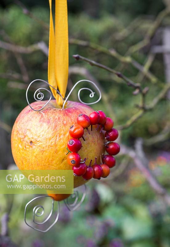 A decorative Rose hip and Apple bird feeder. Made from Rose hips, Ribbon, Metal wire and an Apple. 