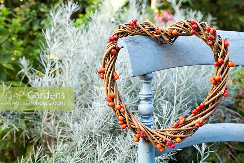 Heart shaped wreath with Rose hips from Rosa 'Treasure Trove'.