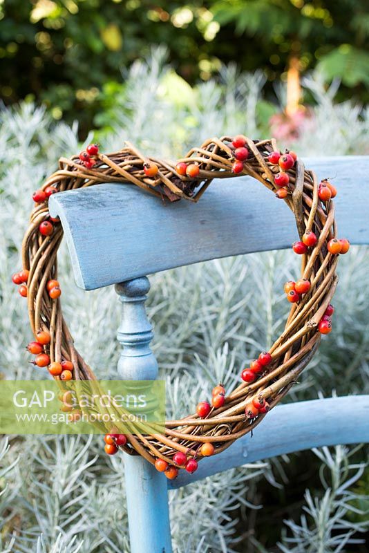 Heart shaped wreath with rose hips from rosa 'Treasure Trove'