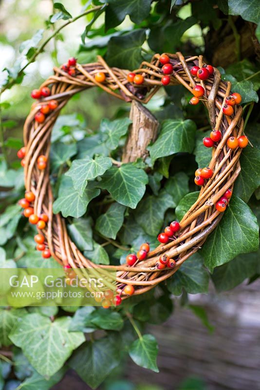Heart shaped wreath with rose hips from rosa 'Treasure Trove'.