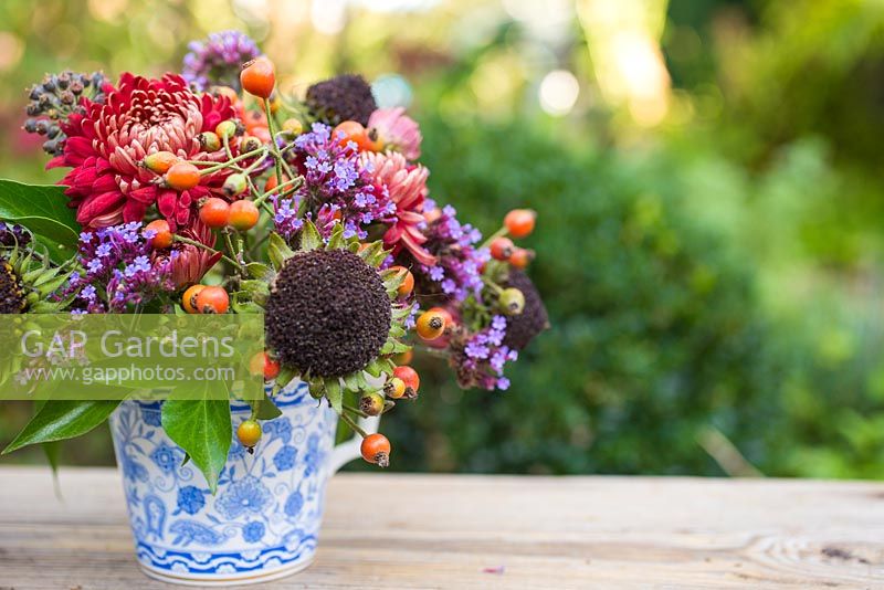 Floral display of rose hips, helianthus seed heads, verbena and chrysanthemum in blue and white tea cup