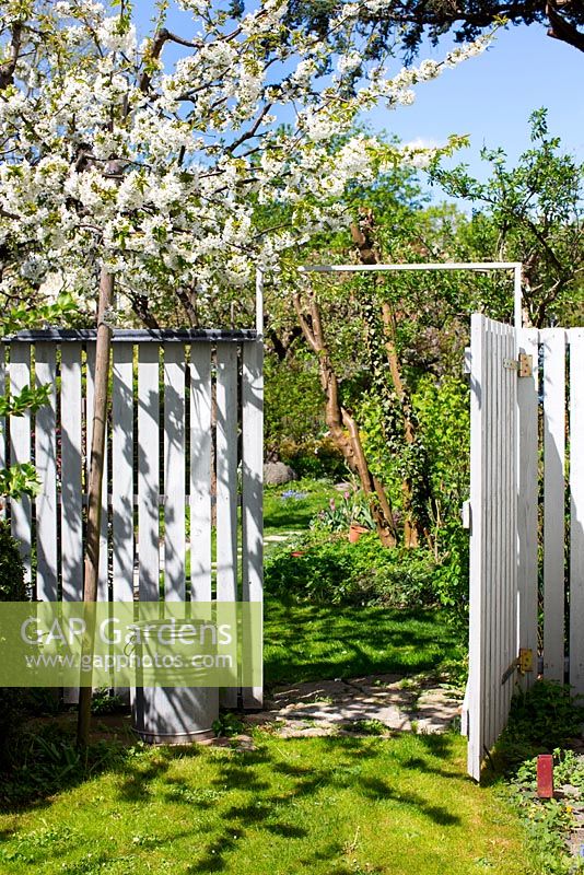 White wooden fence and gate leading into the garden