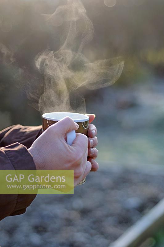 Hands holding steaming cup of coffee in garden, with garden in background, January
