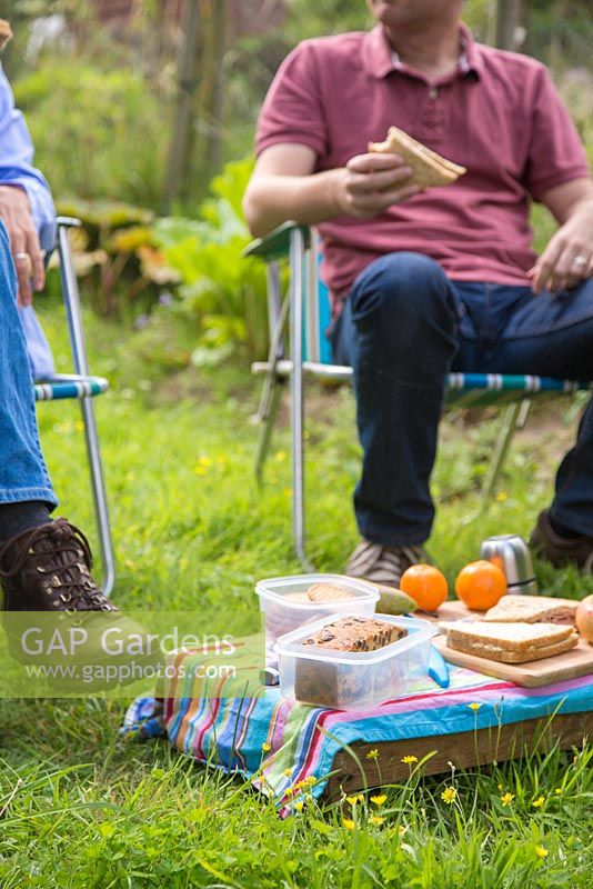 Man eating picnic lunch with sandwich in hand, within an allotment plot