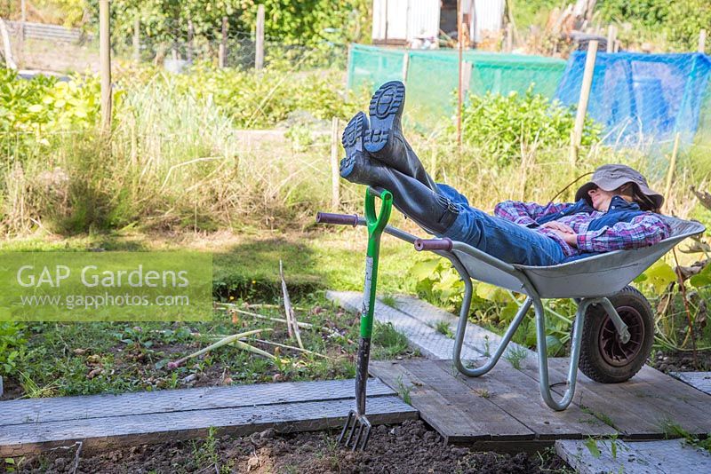 Woman sleeping in a wheelbarrow within an allotment plot
