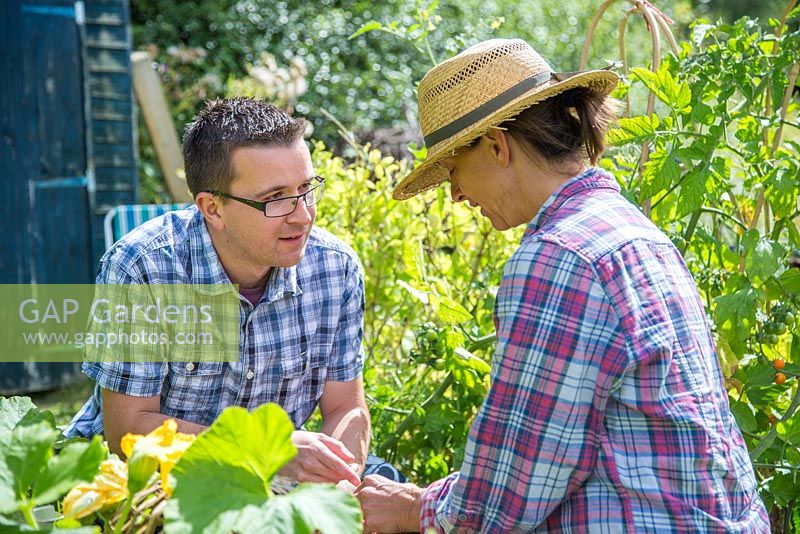 Woman in an alloment plot, showing a man the fruit of Melothria scabra - Cucamelon