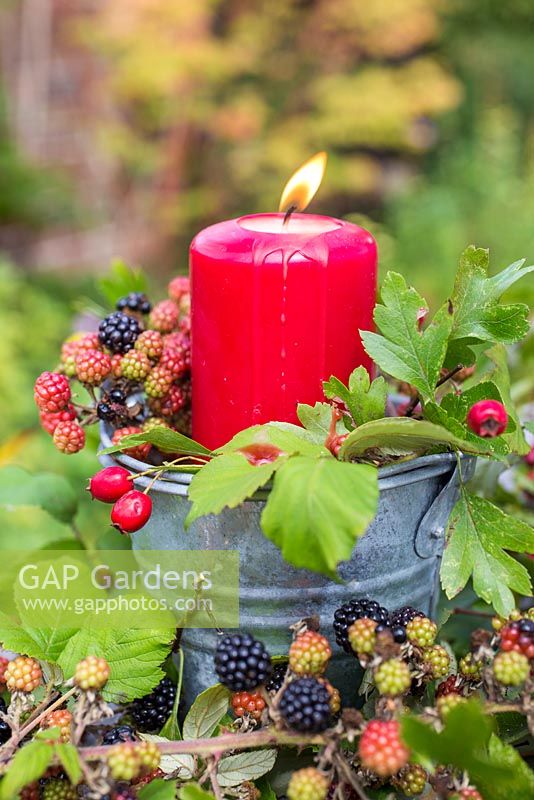 Red candle display decorated with Rubus fruticosus - Brambles and Crataegus - Hawthorn