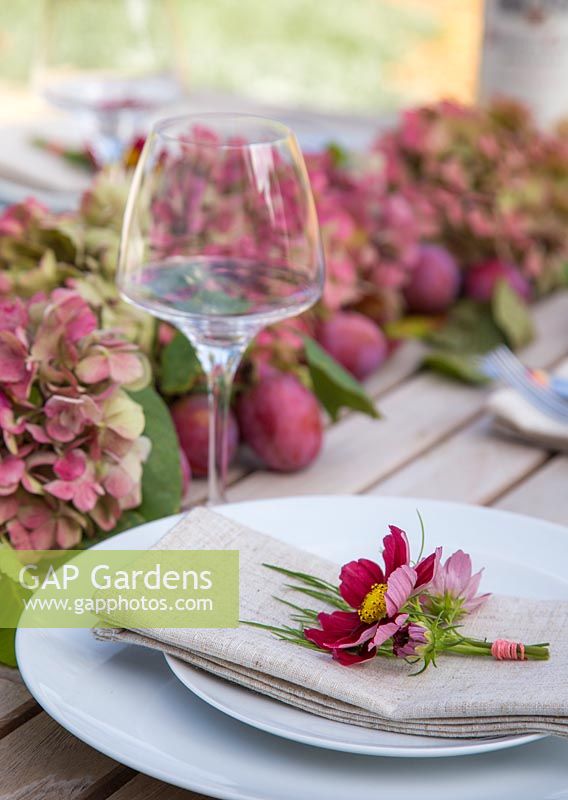 Table place setting with hydrangea, cosmos bipinnatus 'Antiquity' and plums - Prunus domestica 'Victoria'