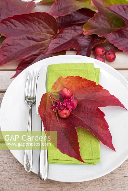 Table place setting decoration with parthenocissus, crab apples and hydrangea flowers