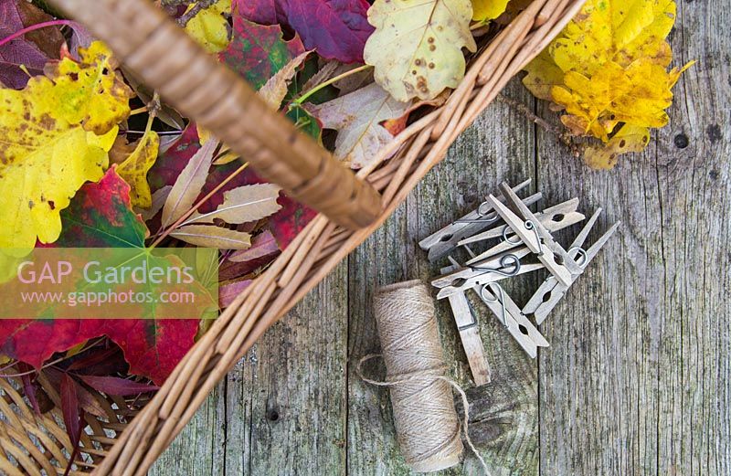 Wicker basket container mixture of autumnal leaves, aged pegs and string. 