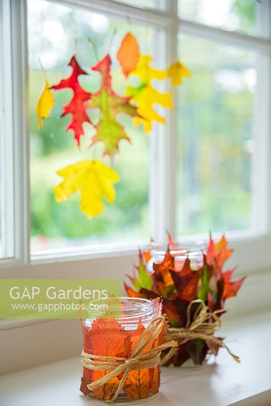 Variety of autumnal leaves hanging from a window and decorated candle jars, with a view to the garden. 
