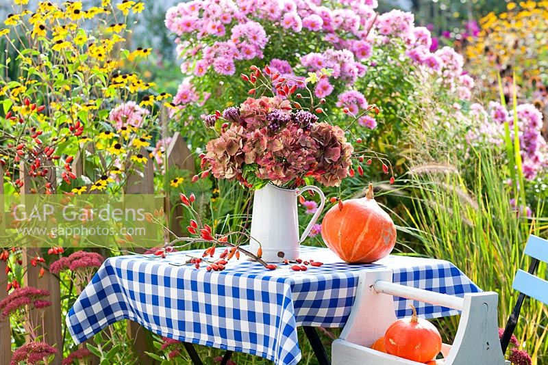 Table with harvested squashes 'Hokkaido' and jug of Hydrangea seedheads, rosehip and Verbena bonariensis. Border - Pennisetum 'Hammeln', Sedum, Rudbeckia triloba, Aster, Panicum 'Heavy Metal'.